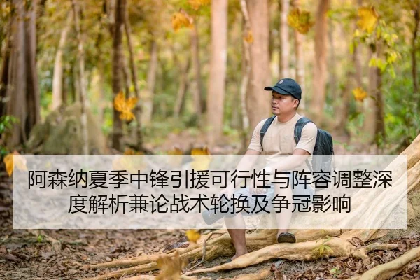 阿森纳夏季中锋引援可行性与阵容调整深度解析兼论战术轮换及争冠影响