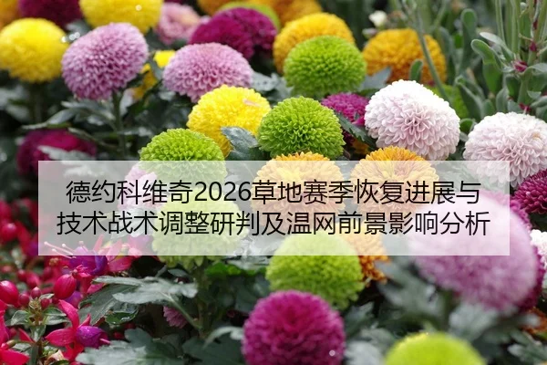 de-yue-ke-wei-qi-cao-di-sai-ji-hui-fu-jin-zhan-yu-ji-shu-zhan-shu-tiao-zheng-yan-pan-ji-wen-wang-qian-jing-ying-xiang-2-906.jpg